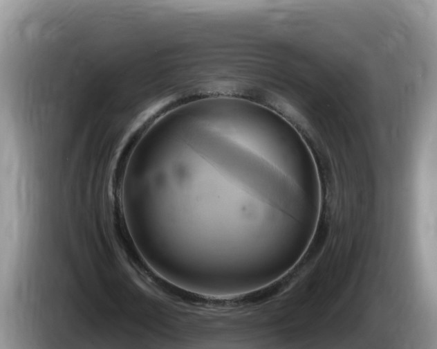 X0000086250674200704051241