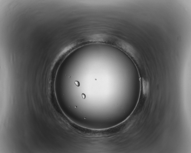 X0000086250675200704051241
