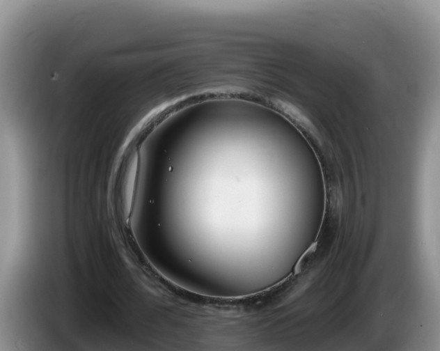 X0000086250676200704051241