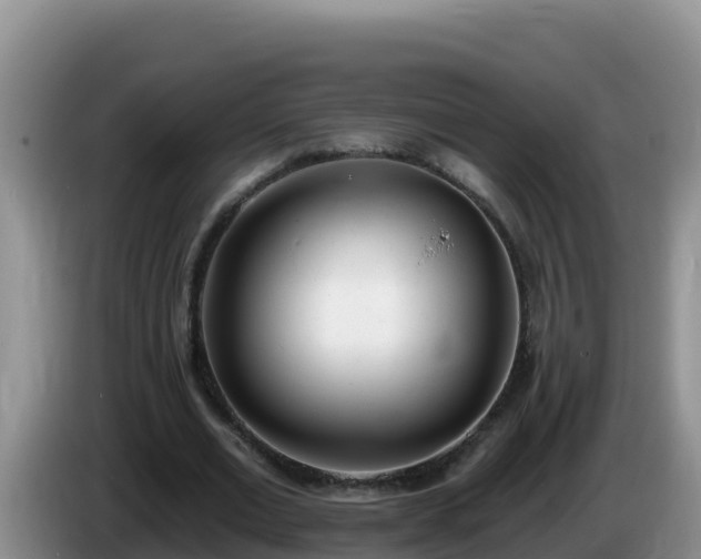 X0000086250677200704051241