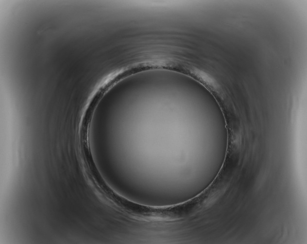 X0000086250678200704051241