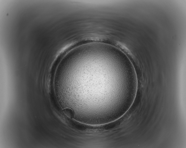 X0000086250679200704051241