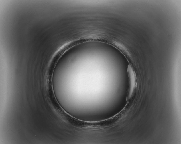 X0000086250680200704051241