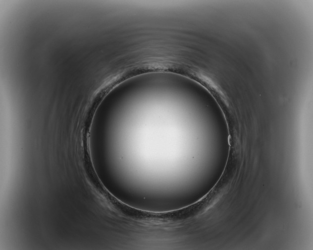 X0000086250681200704051241