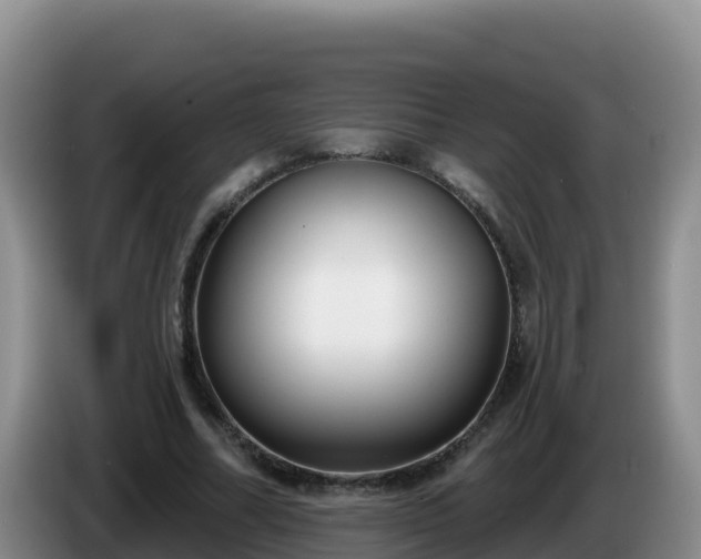 X0000086250682200704051241