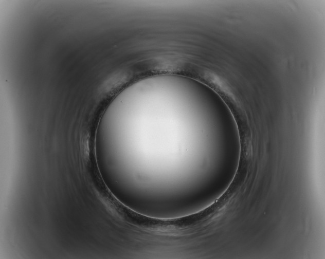 X0000086250685200704051241