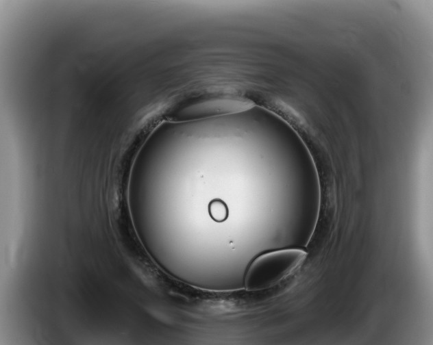 X0000086250687200704051241