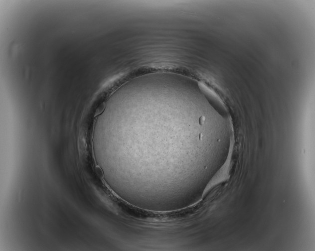 X0000086250688200704051241