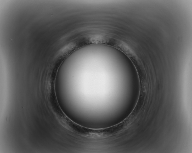 X0000086250690200704051241