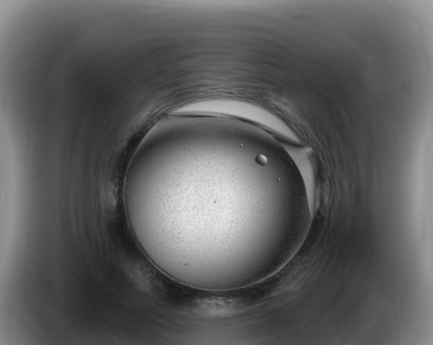X0000086250691200704051241