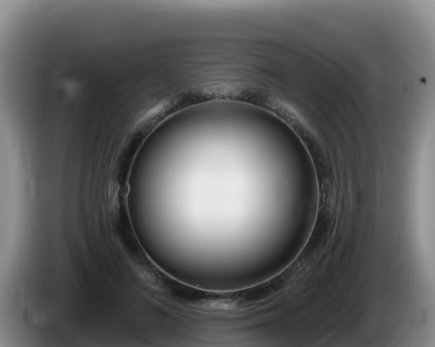 X0000086250692200704051241
