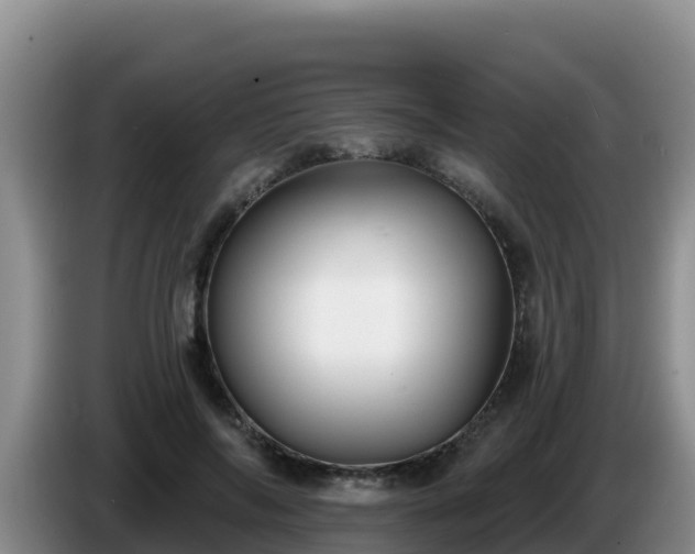 X0000086250694200704051241