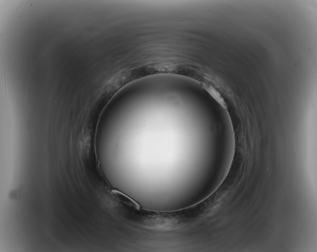 X0000086250697200704051241