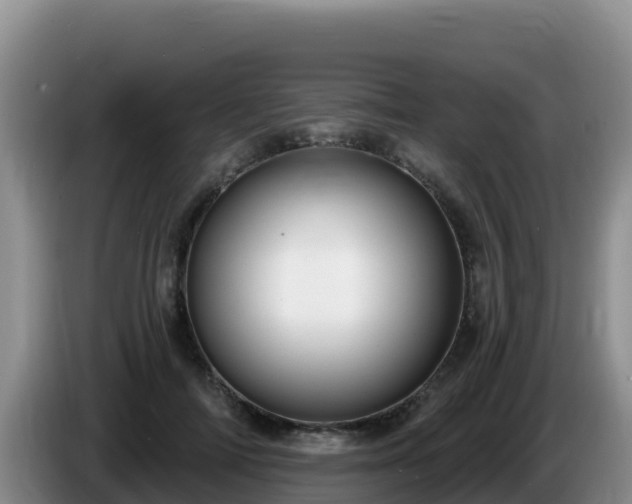 X0000086250698200704051241