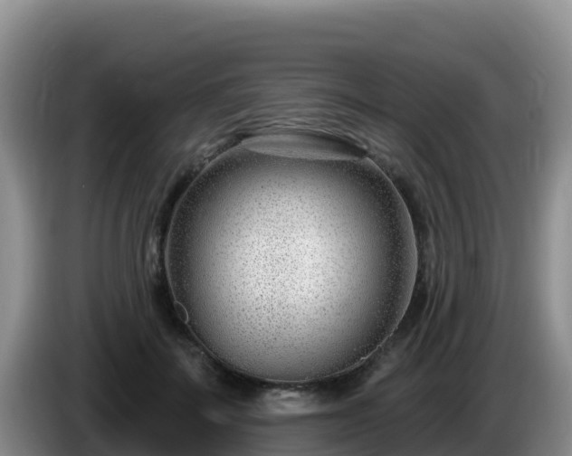 X0000086250699200704051241