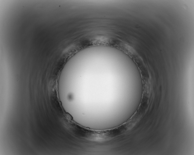 X0000086250701200704051241