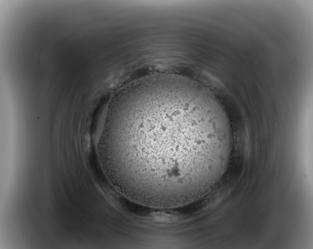 X0000086250703200704051241