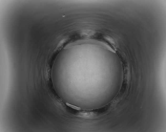 X0000086250712200704051241