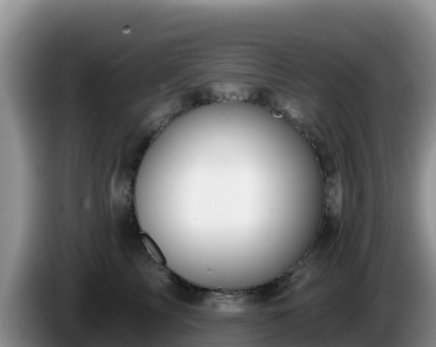 X0000086250713200704051241