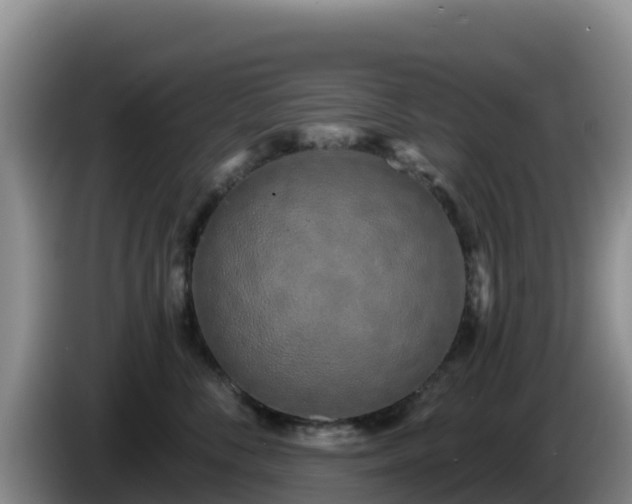 X0000086250716200704051241