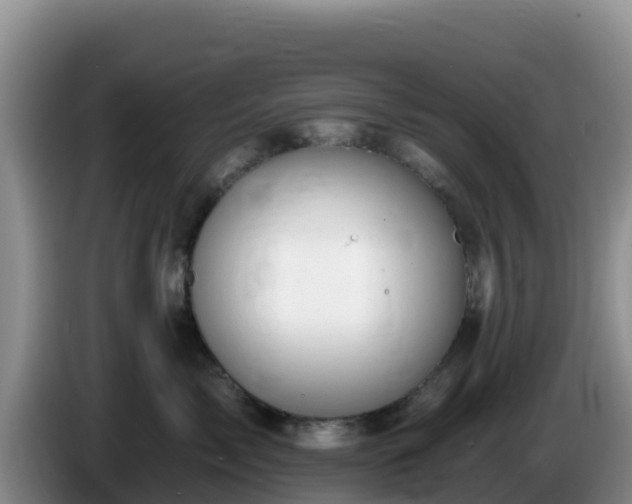 X0000086250717200704051241