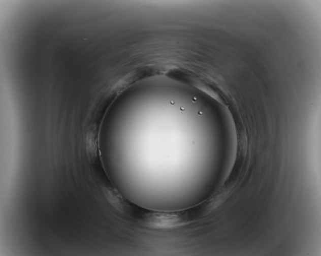 X0000086250719200704051241
