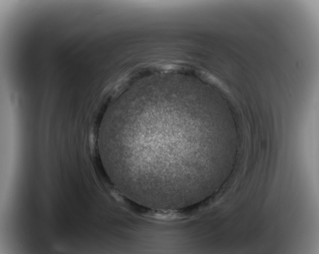 X0000086250720200704051241