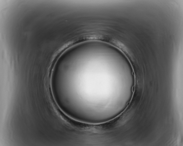X0000086250721200704051240