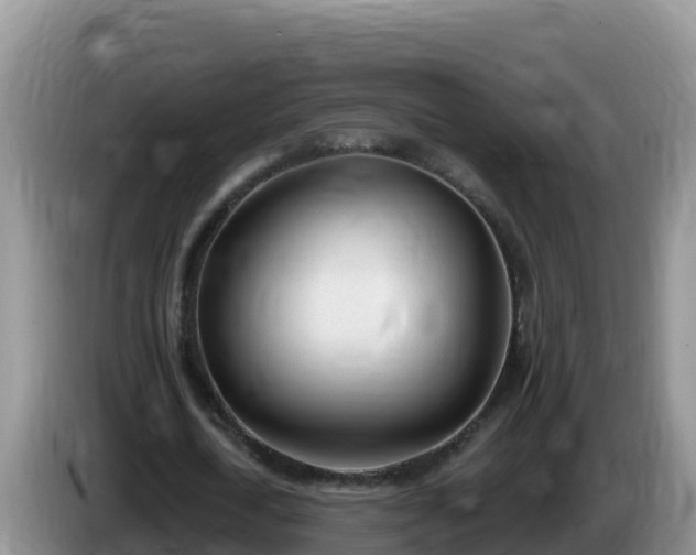 X0000086250722200704051240