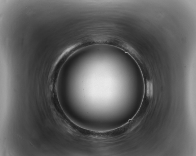 X0000086250723200704051240