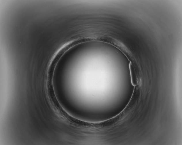 X0000086250724200704051240