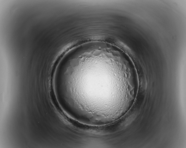 X0000086250725200704051240