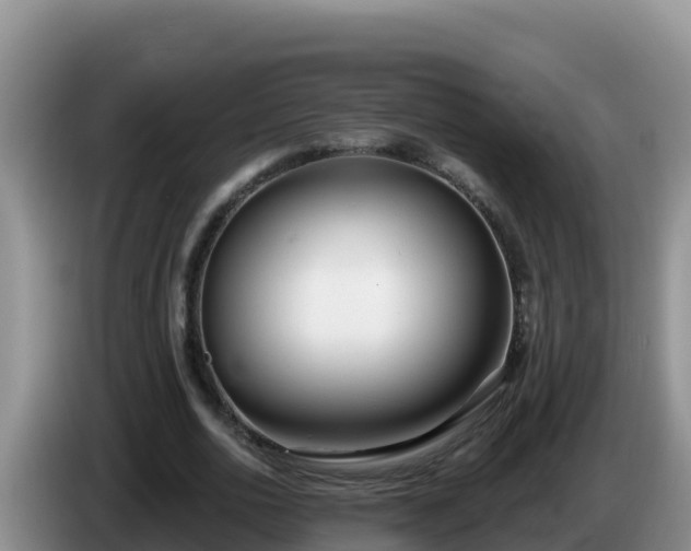 X0000086250726200704051240