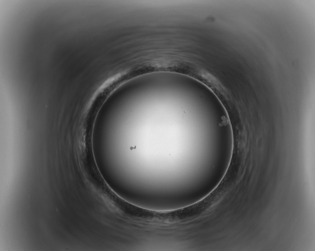 X0000086250727200704051240