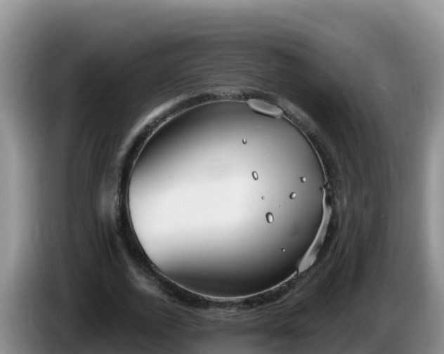 X0000086250728200704051240