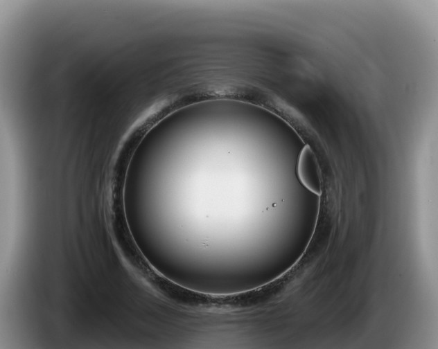 X0000086250730200704051240