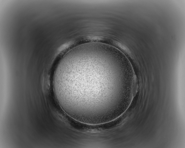 X0000086250731200704051240