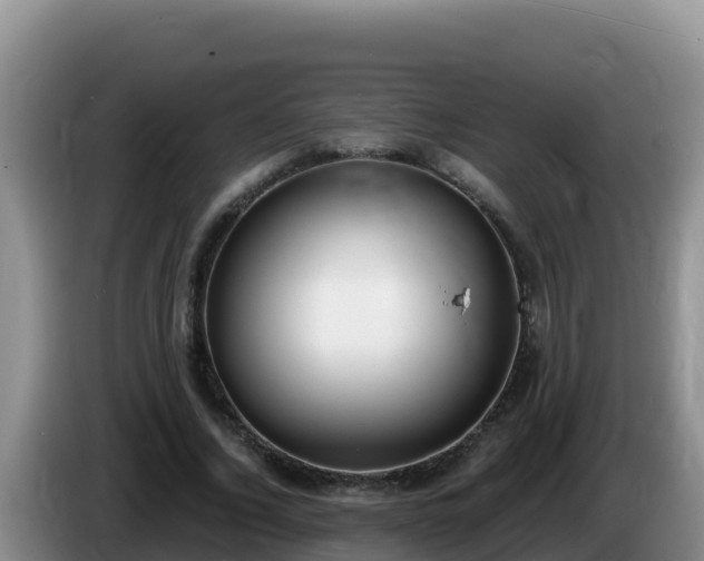 X0000086250732200704051240