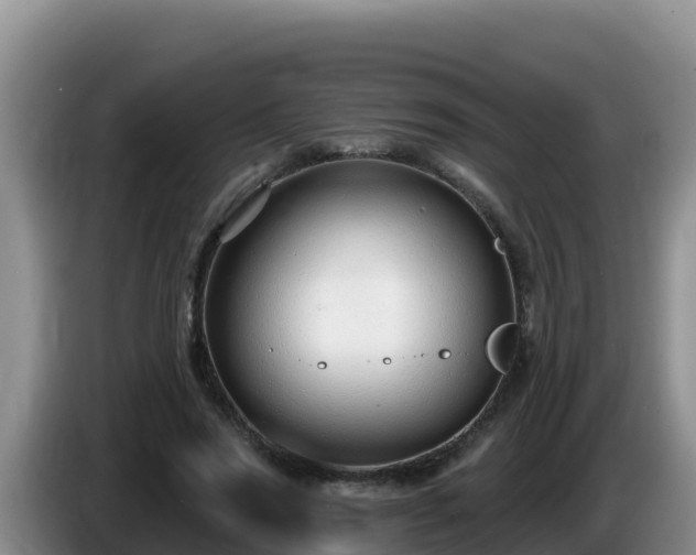 X0000086250733200704051240