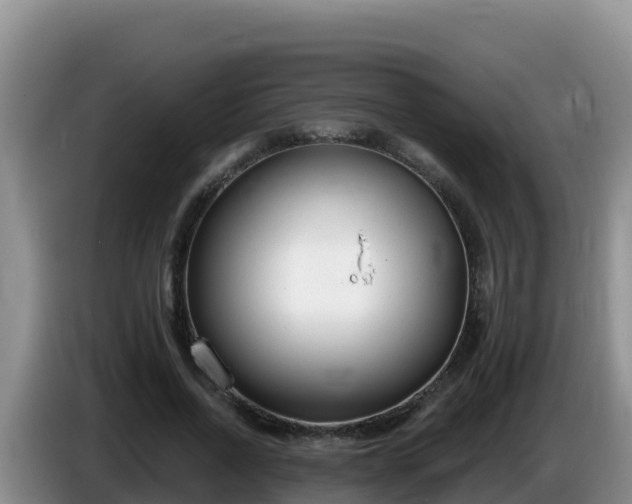 X0000086250734200704051240