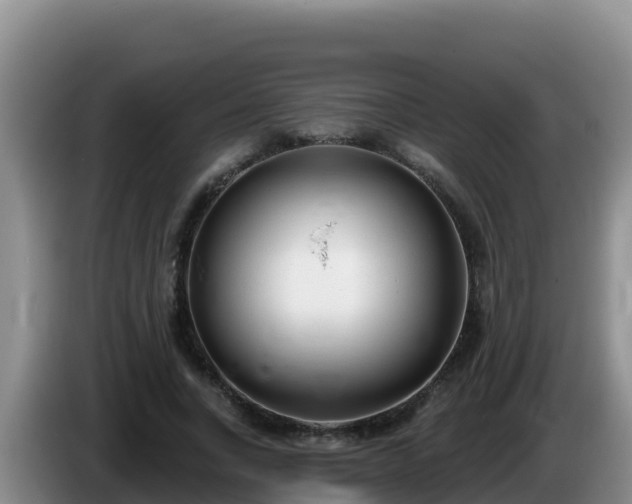 X0000086250735200704051240