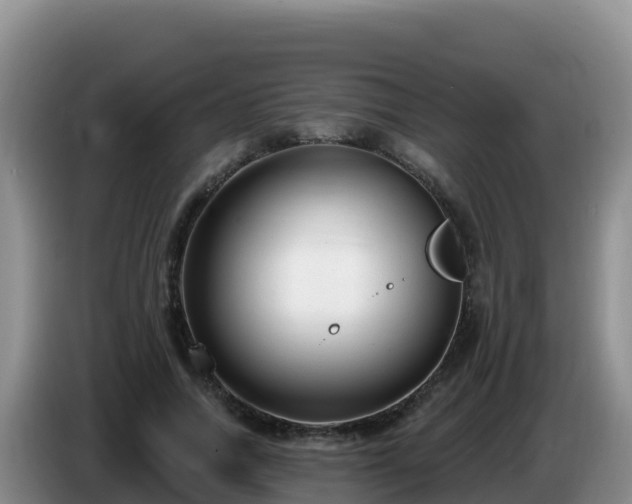 X0000086250738200704051240