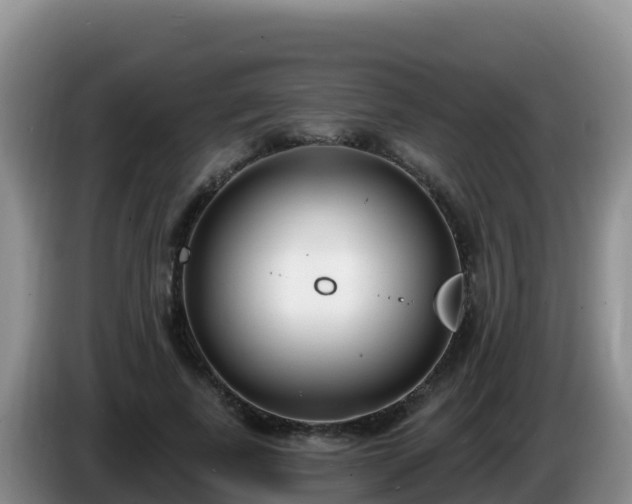X0000086250739200704051240