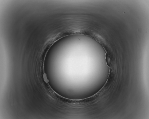X0000086250740200704051240