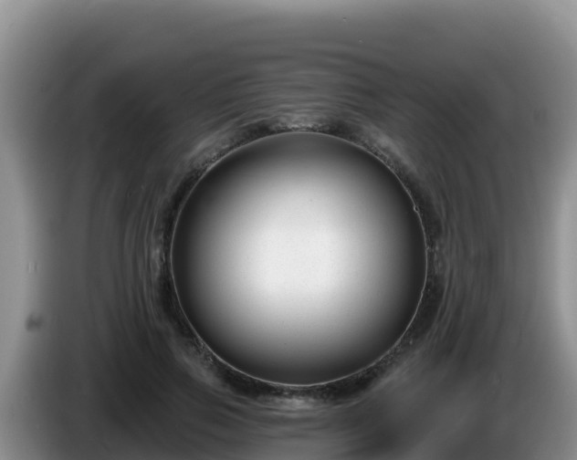 X0000086250741200704051240