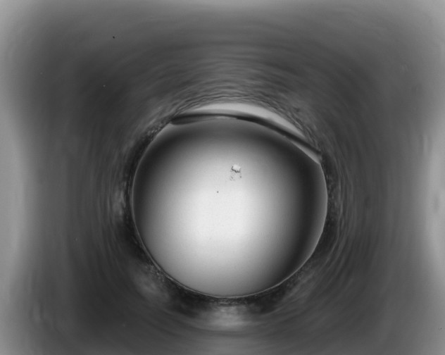 X0000086250746200704051240
