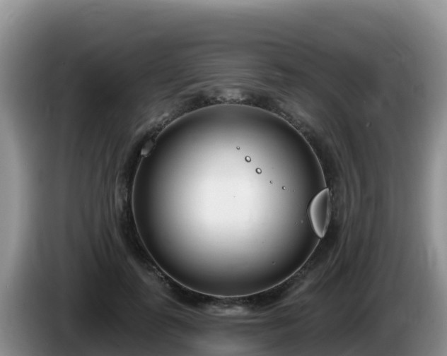 X0000086250747200704051240