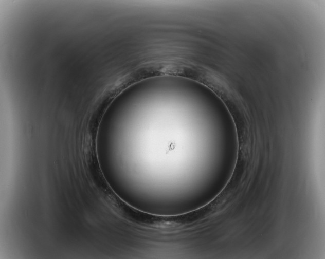X0000086250748200704051240