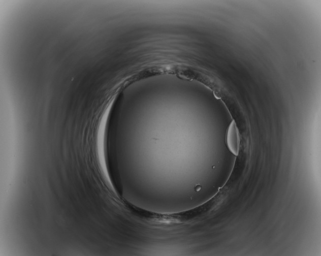X0000086250754200704051240