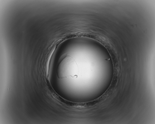 X0000086250756200704051240